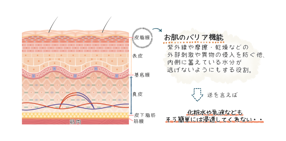 ホームケア商品